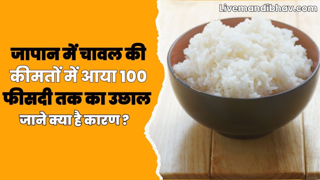 Rice Price Increase : जापान में चावल की कीमतों में आया 100 फीसदी तक का उछाल जाने क्या है कारण ?
