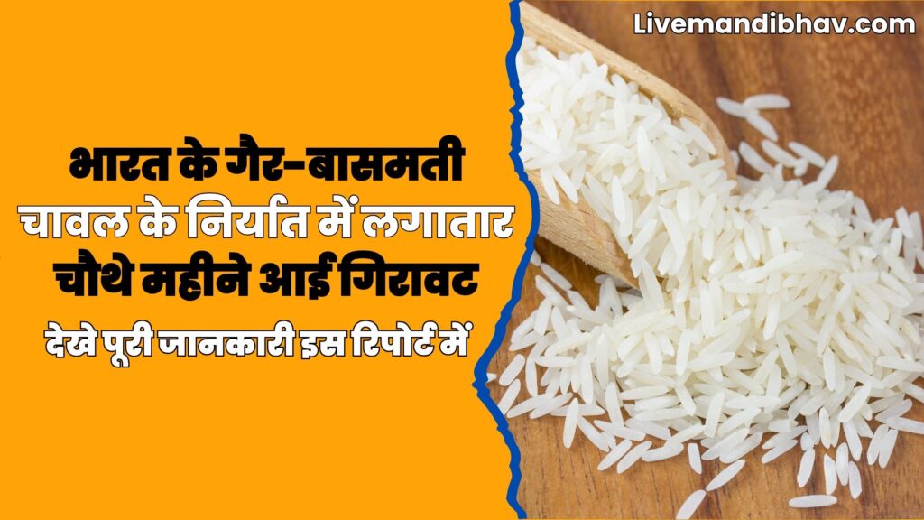 भारत के गैर-बासमती चावल के निर्यात में लगातार चौथे महीने आई गिरावट | देखे पूरी जानकारी इस रिपोर्ट में