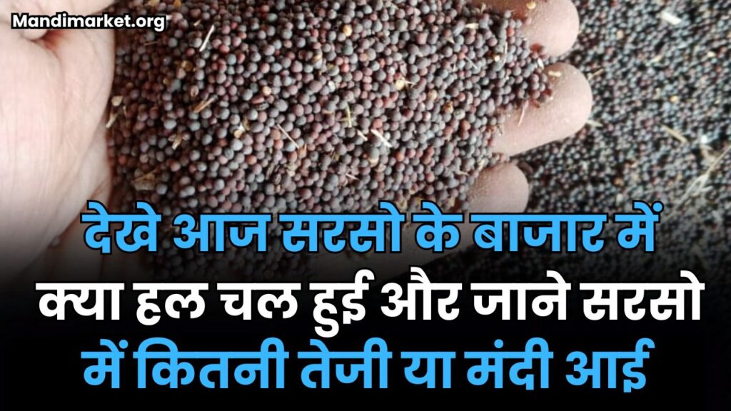 देखे आज सरसो के बाजार में क्या हल चल हुई | और जाने सरसो में कितनी तेजी या मंदी आई