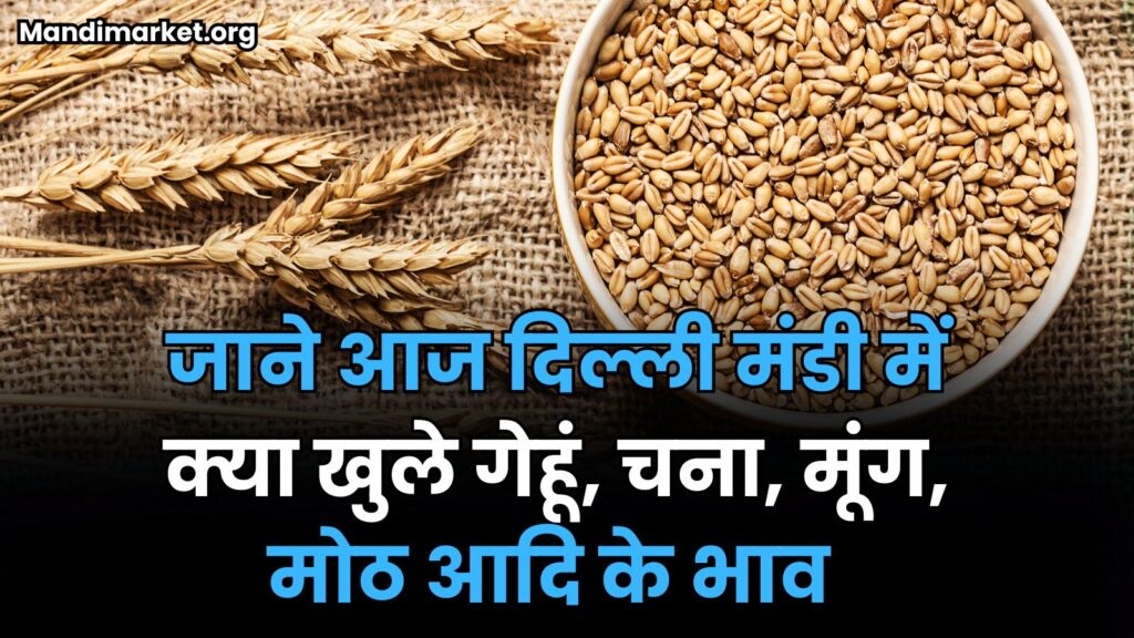 जाने आज दिल्ली मंडी में क्या खुले गेहूं, चना, मूंग, मोठ आदि के भाव | DELHI MANDI BHAV 27 SEPTEMBER 2025