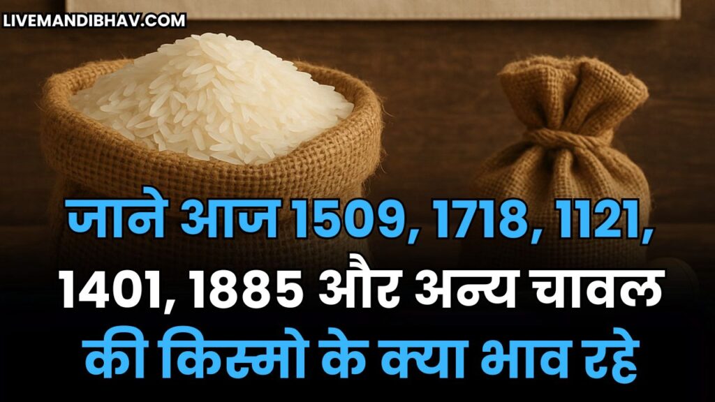 जाने आज 1509, 1718, 1121, 1401, 1885 और अन्य चावल की किस्मो के क्या भाव रहे | CHAVAL KE BHAV 26 SEPTEMBER 2025